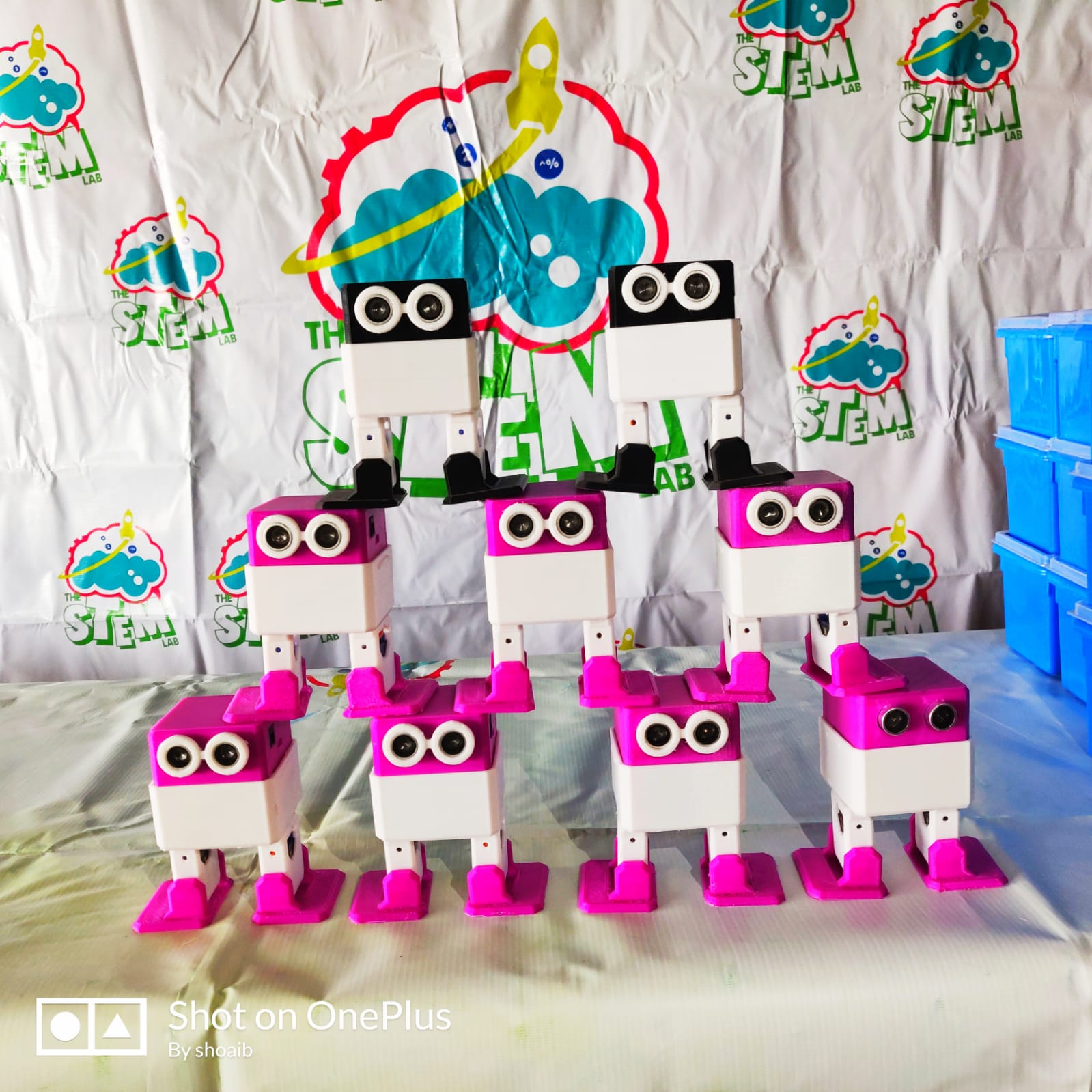 A row of friendly two-legged robots — pink and white bipeds with big round eyes — built by kids in the STEM robotics course